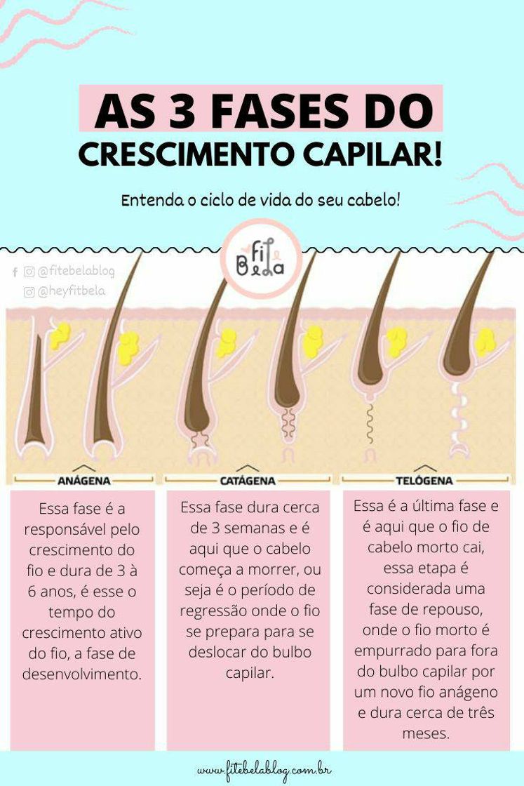 Fashion Ideias de crescimento capilar. 