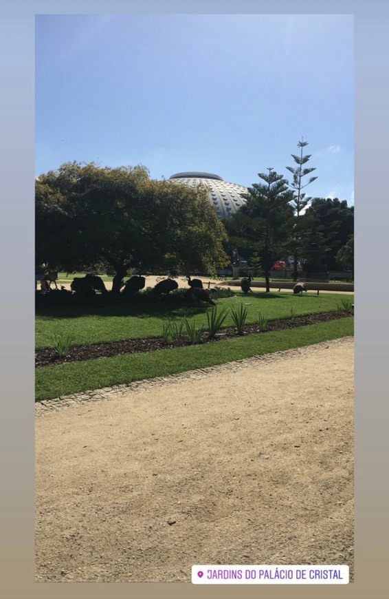 Lugar Jardins do Palácio de Cristal