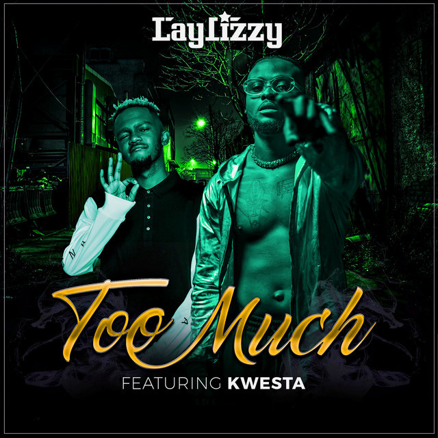 Music Too Much