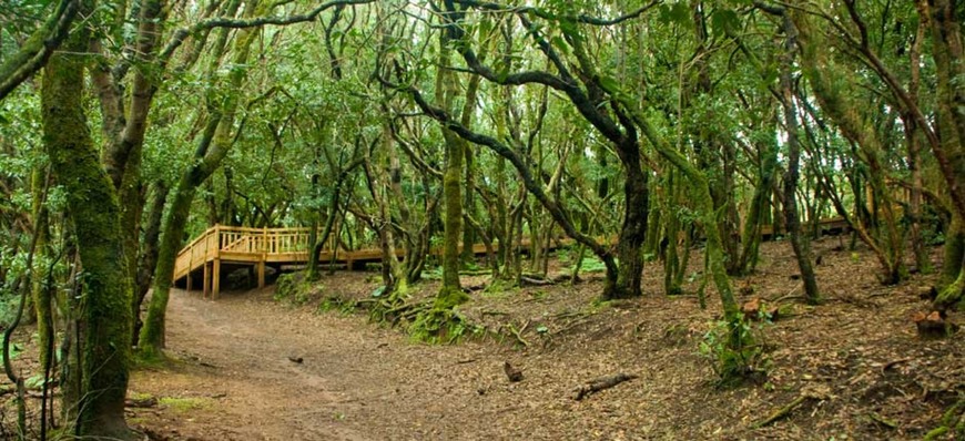 Lugar Parque Rural de Anaga