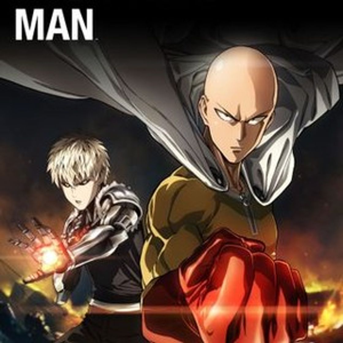 Serie One Punch Man