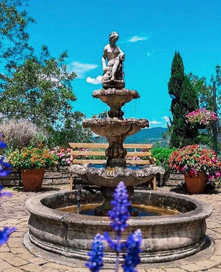 Places Le Jardin Parque de Lavanda - Gramado