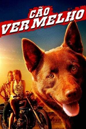 Película Red Dog, una historia de lealtad