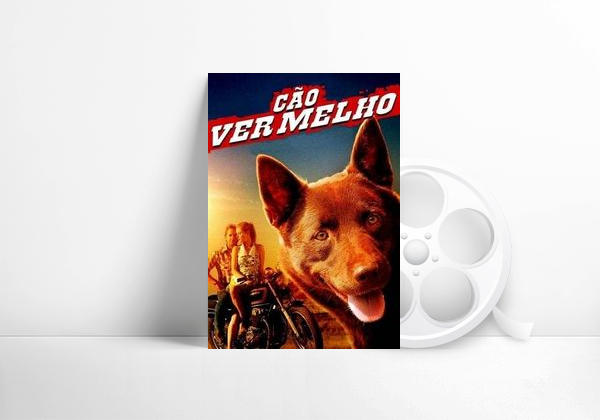 Movie Red Dog, una historia de lealtad