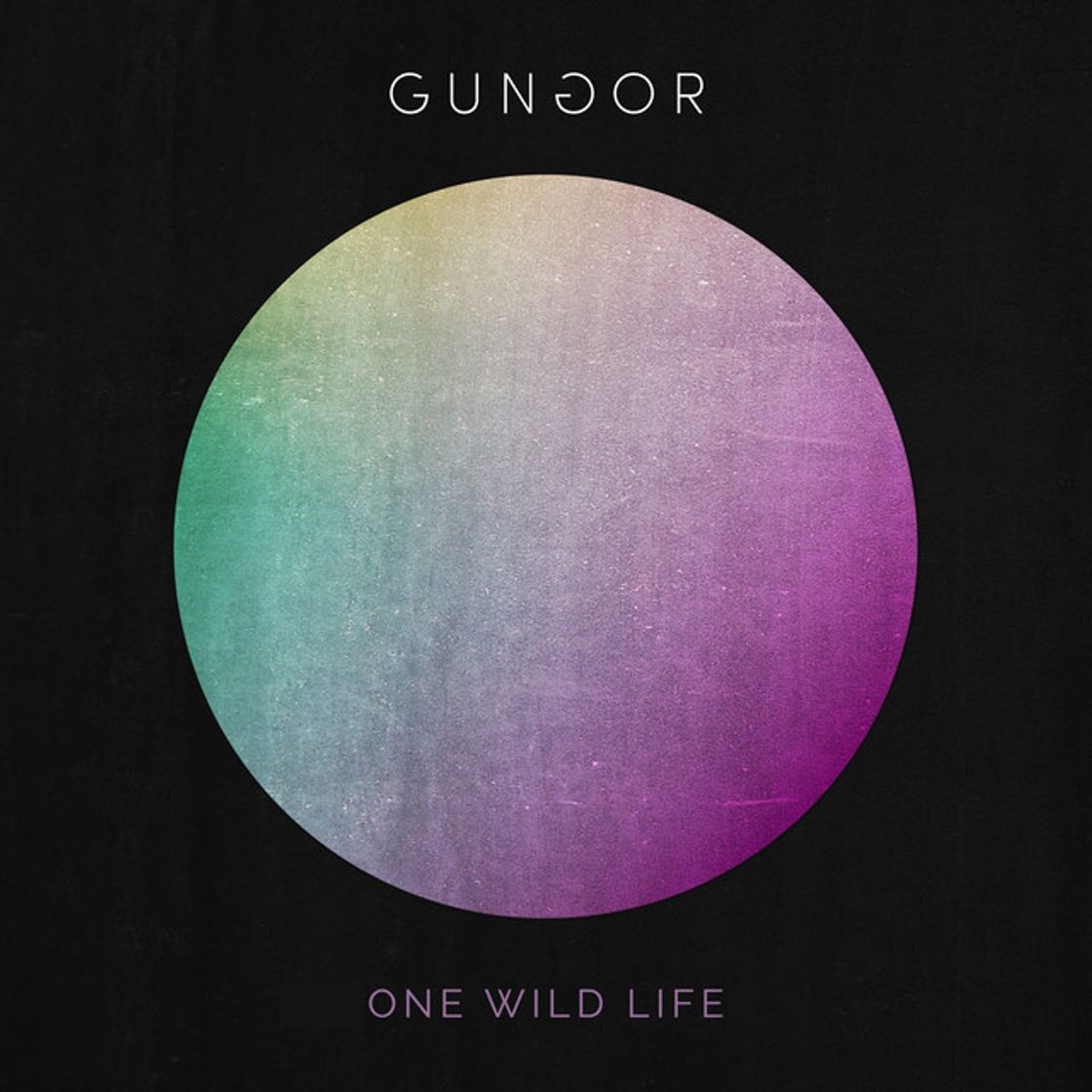 Canción One Wild Life