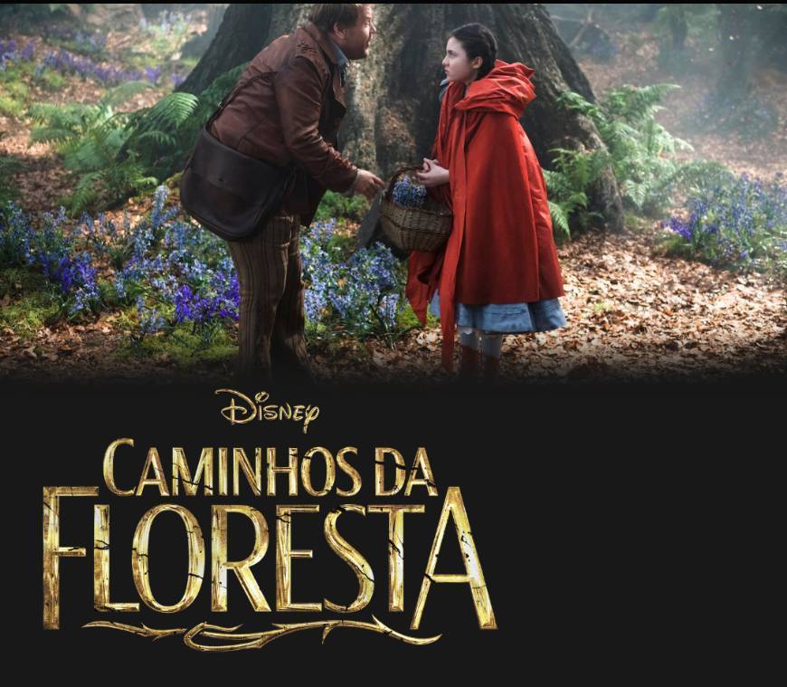 Película Caminhos da Floresta