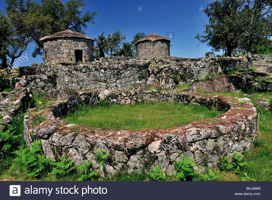 Lugar Citania de Briteiros