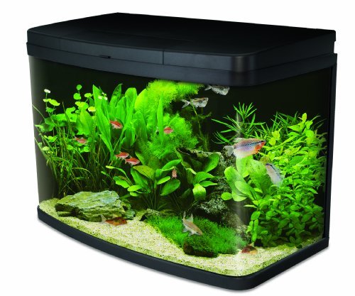 Lugares Interpet Insight Acuario de Cristal