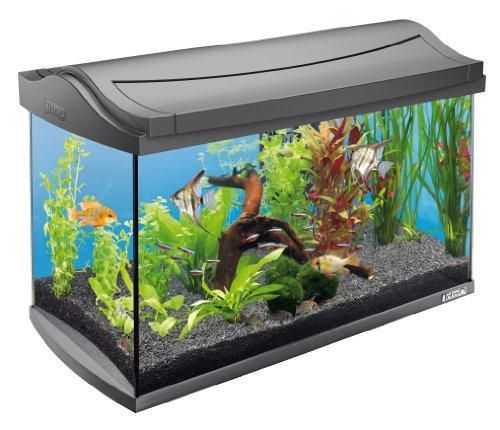 Tetra AquaArt Kit de acuario completo Discover Line