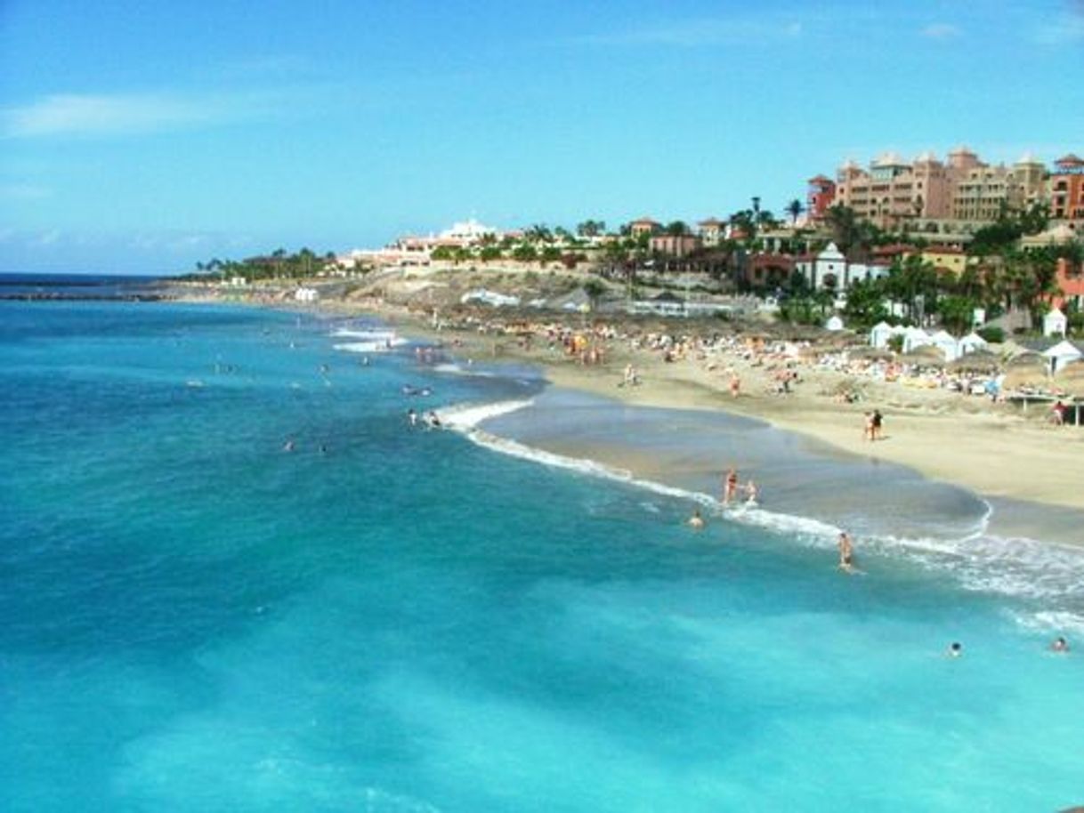 Place Playa de Fañabé