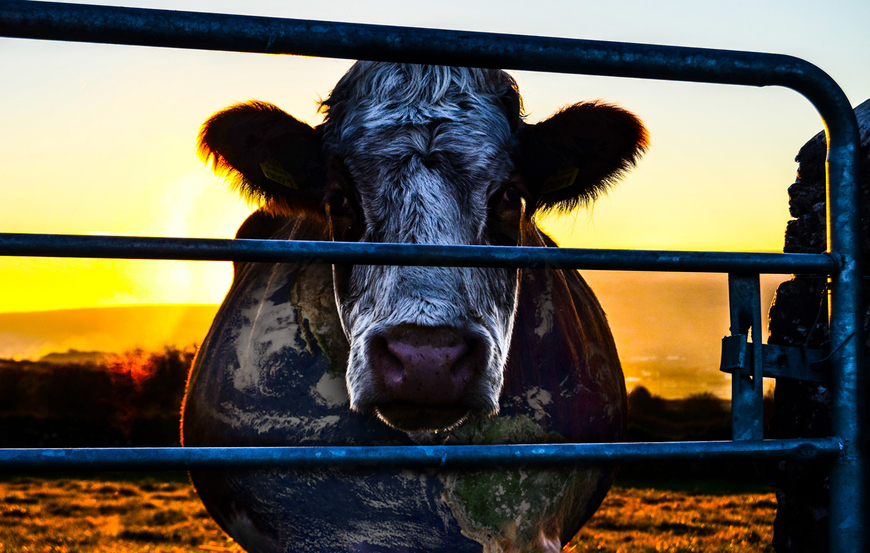 Moda COWSPIRACY: The Sustainability Secret