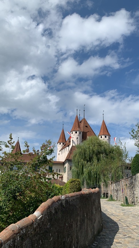 Place Schloss Thun