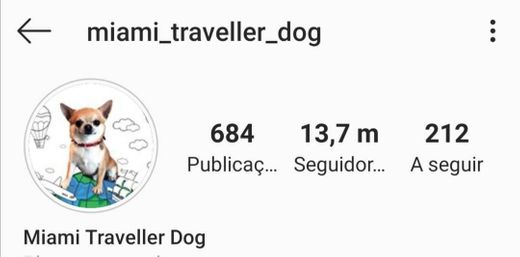 Miami Traveller Dog