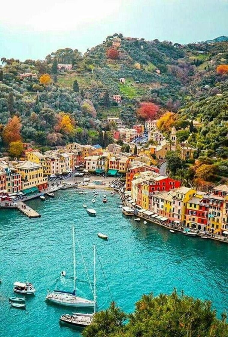 Place Portofino