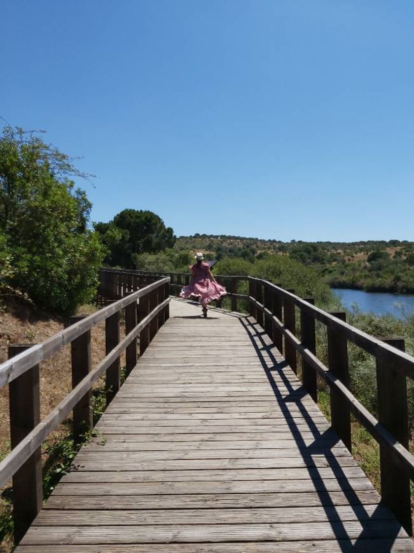 Lugares Parque Ecológico do Gameiro