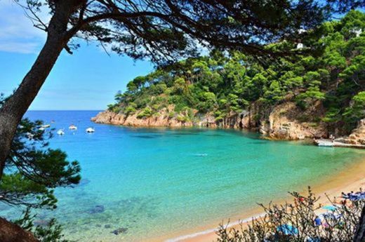 Place Costa Brava