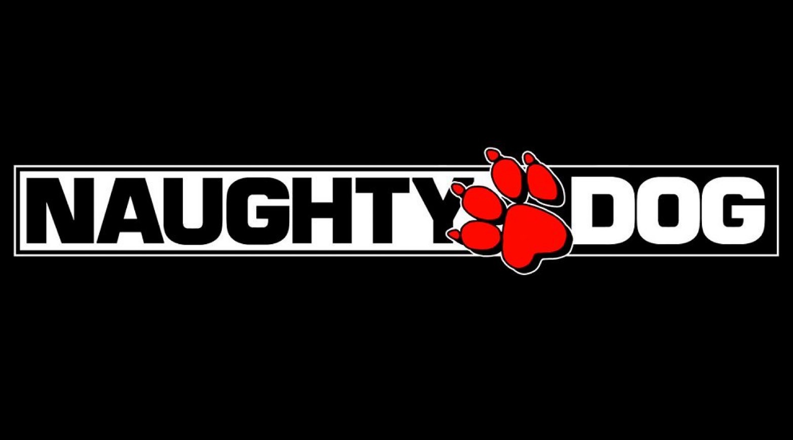 Fashion Naughty Dog