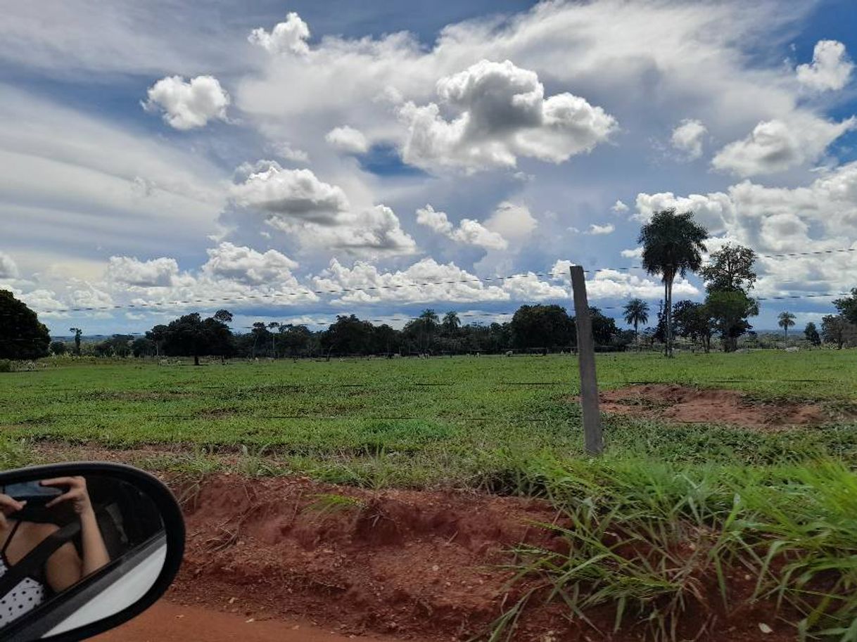 Social Air Zapatillas de Running para Hombre Mujer Zapatos para Correr y Asfalto Aire Libre y Deportes Calzado Unisexo Gray Pink 38