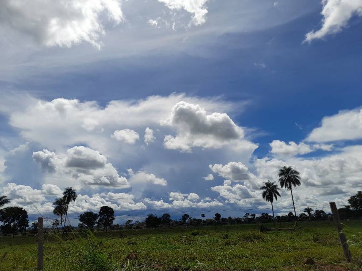 Social Fotos favorita