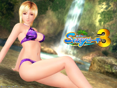 Videogames Sexy Beach 3