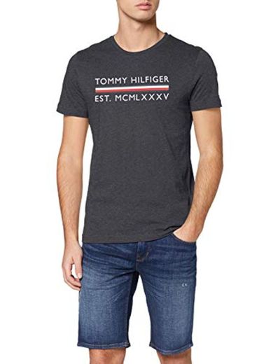 Tommy Hilfiger Corp Bar tee Camiseta Deporte, Gris