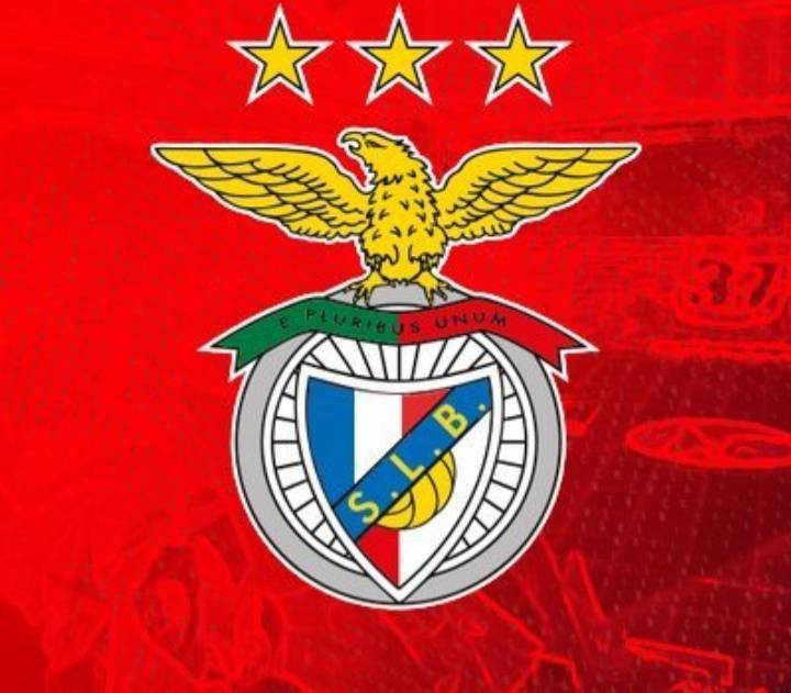 Moda SL Benfica: Official Website of Sport Lisboa e Benfica