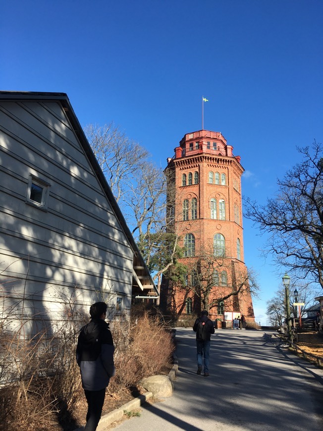 Place Skansen