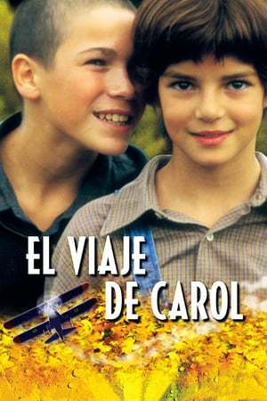 Película El viaje de Carol