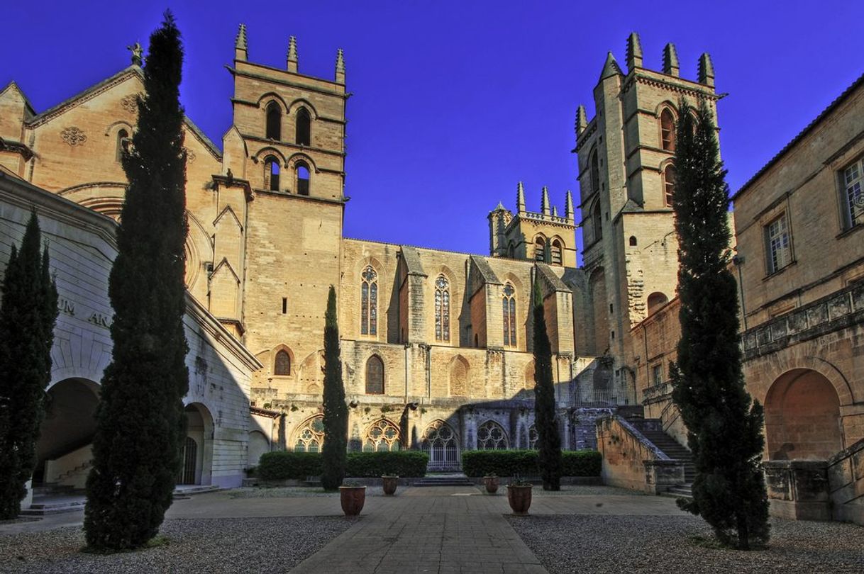 Lugar Catedral de San Pedro de Montpellier