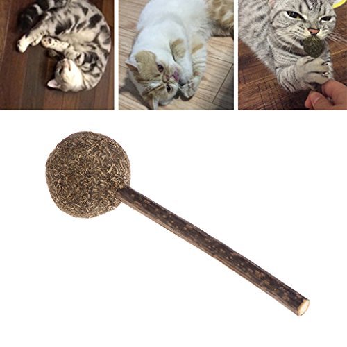 Place Yanhonin 1pc Catnip Lollipop Juguete – Bola de Hierba de Gato – Nepeta Cataria – Bio – Dulces de mascar