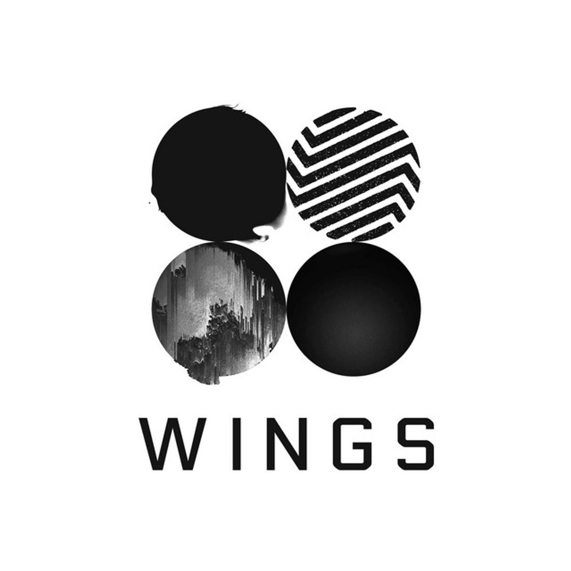 Music Interlude: Wings