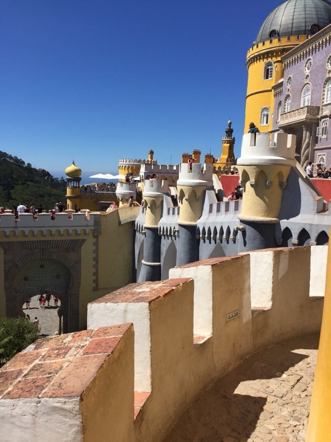 Lugar Palacio da Pena