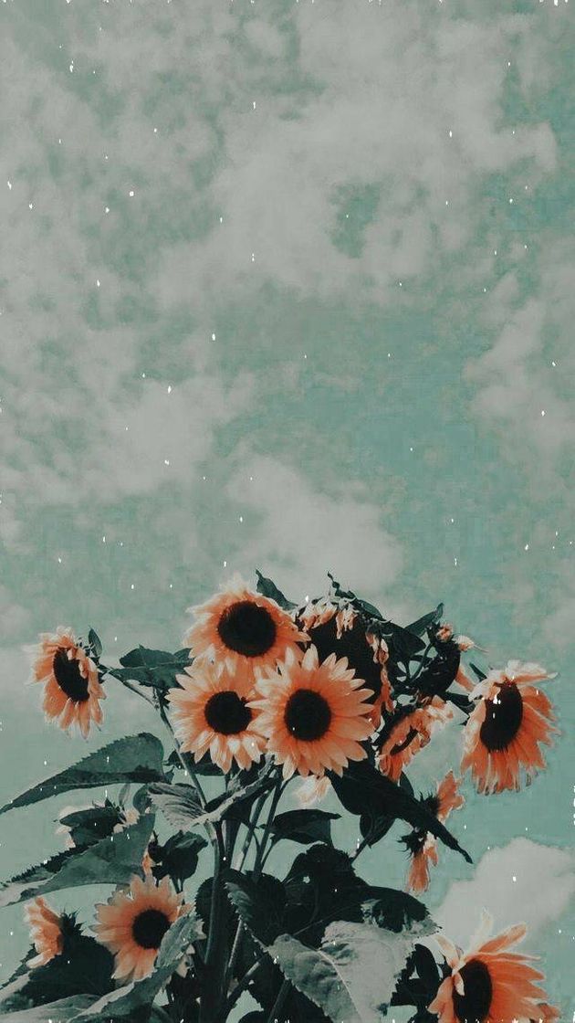 Fashion Wallpapers 🌼