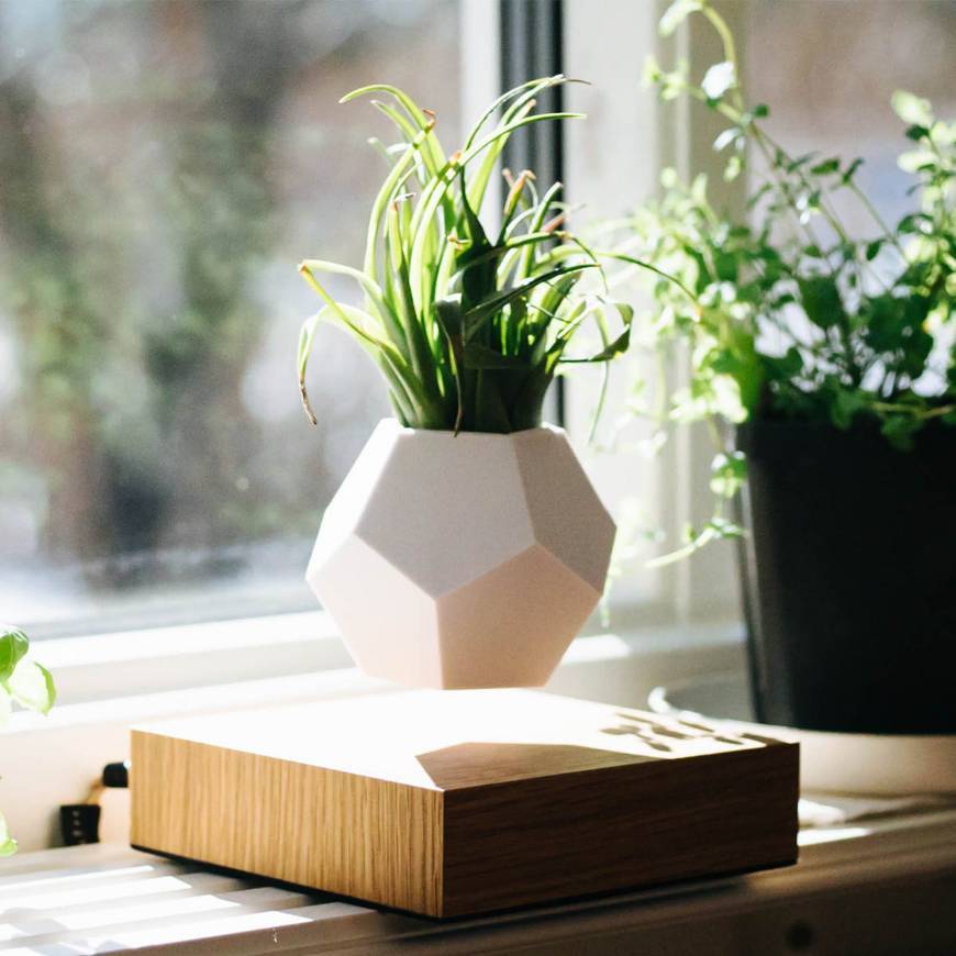 Moda Flyte Lyfe Floating Vase Plant