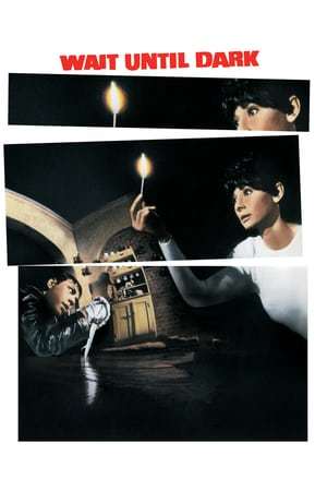 Movie Sola en la oscuridad