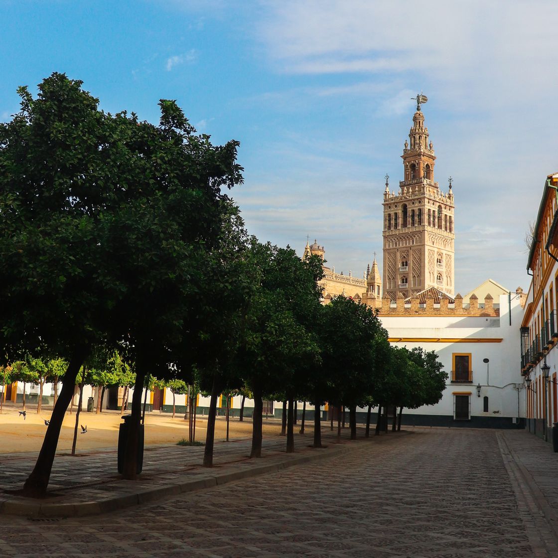 Place Patio de Banderas