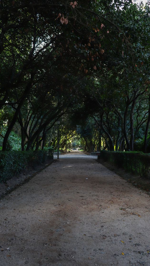 Lugares Jardim da Sereia