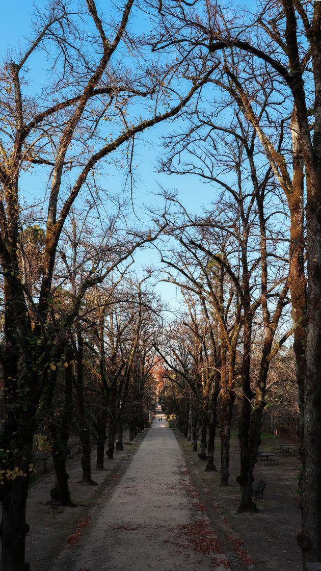 Place Jardim Botânico da Universidade de Coimbra