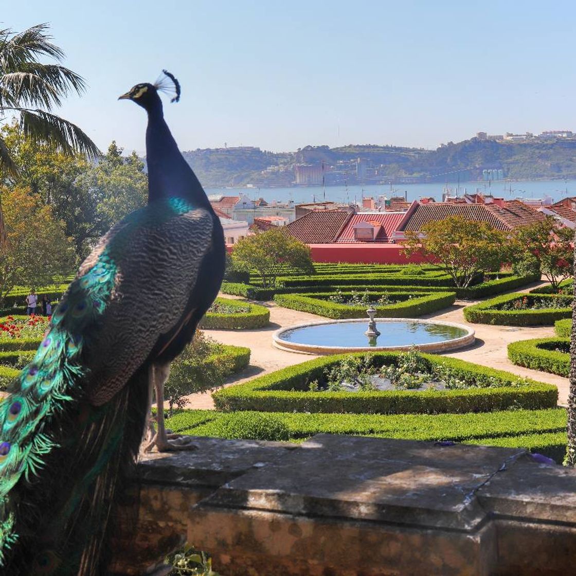 Lugar Jardim Botânico d'Ajuda