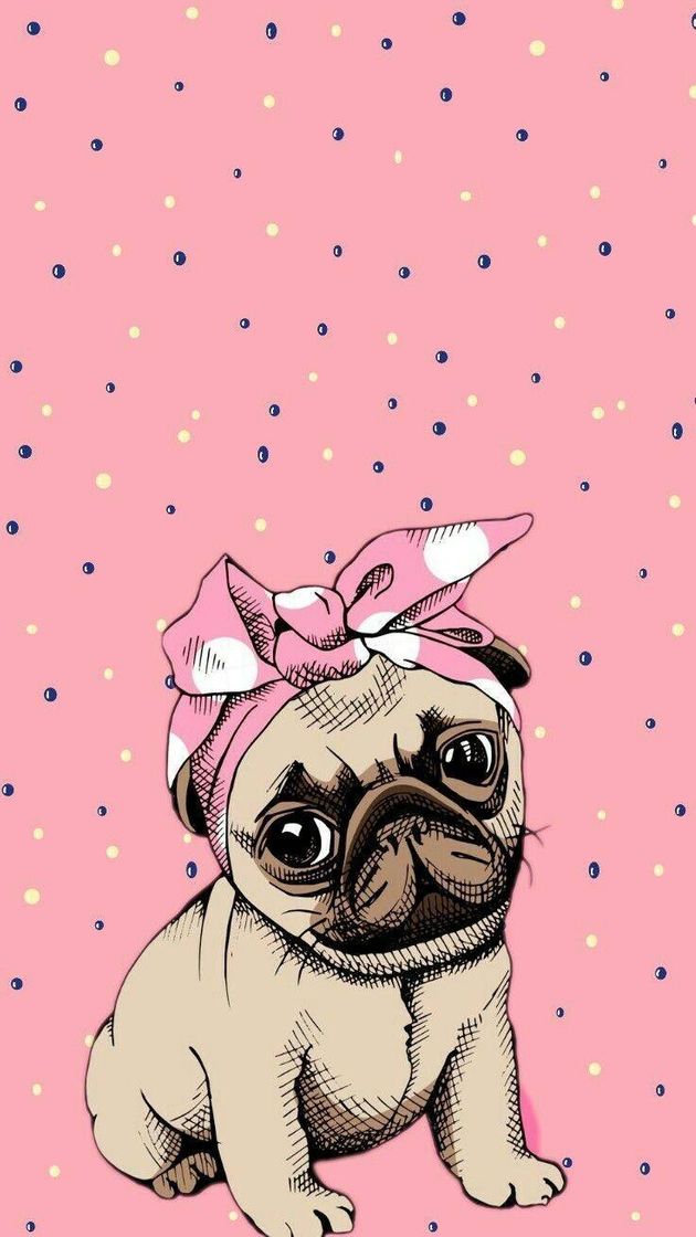 Fashion Papel de parede pugs