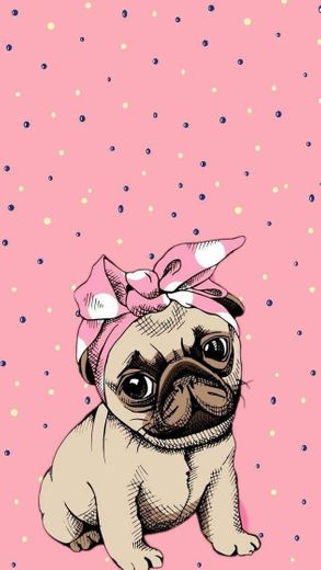 Papel de parede pugs