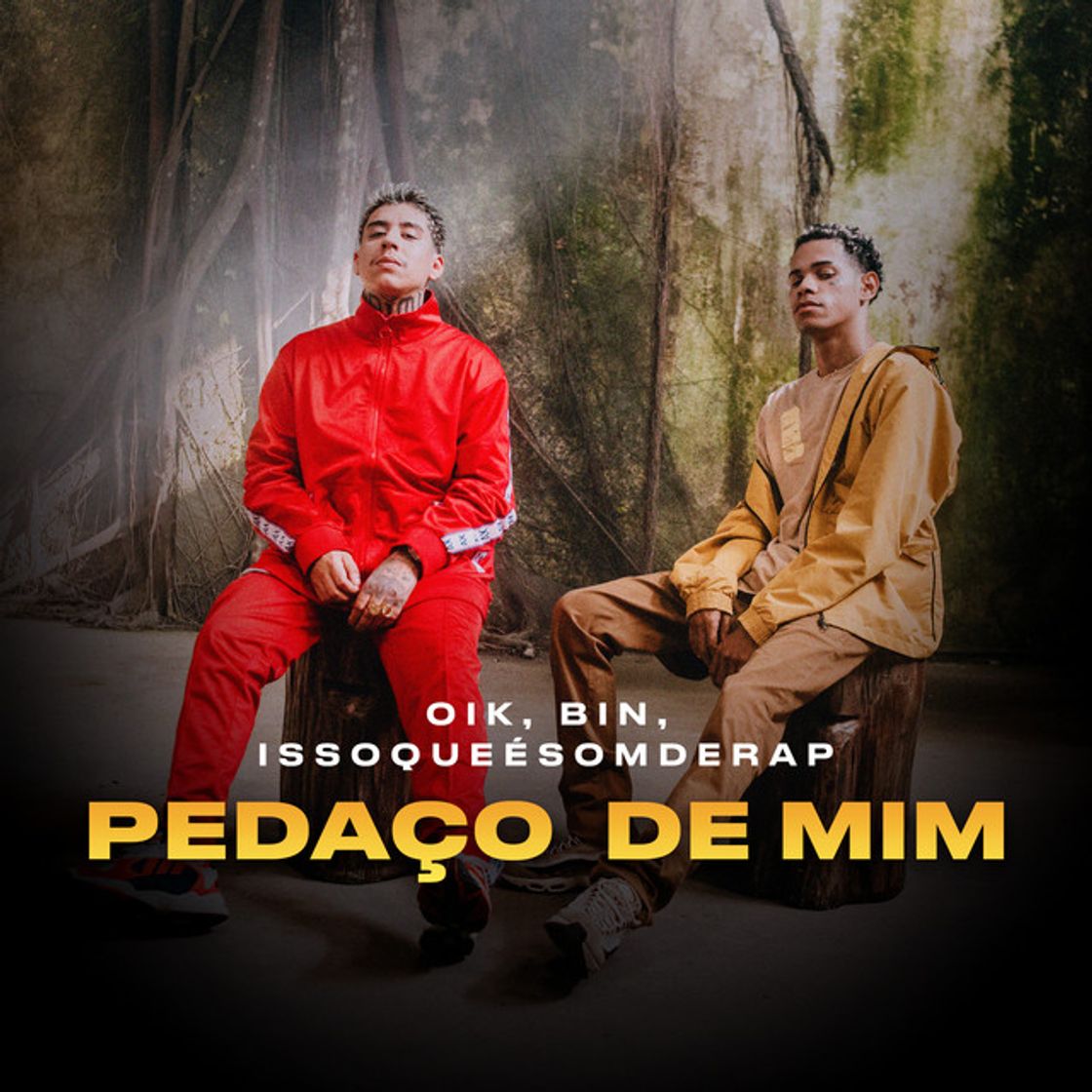 Canción Pedaço de Mim