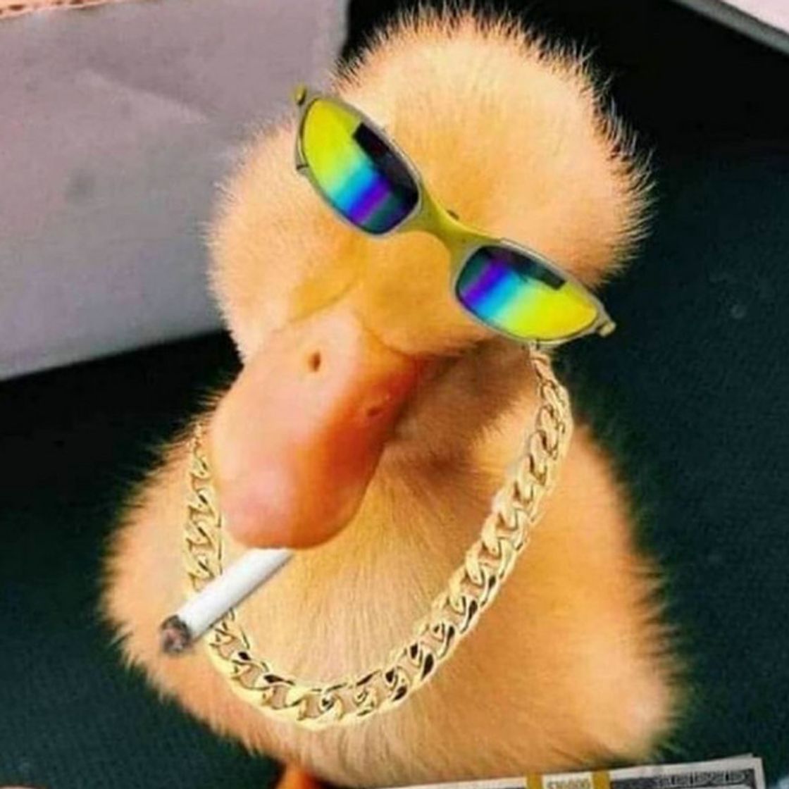 Music pega o pato funk