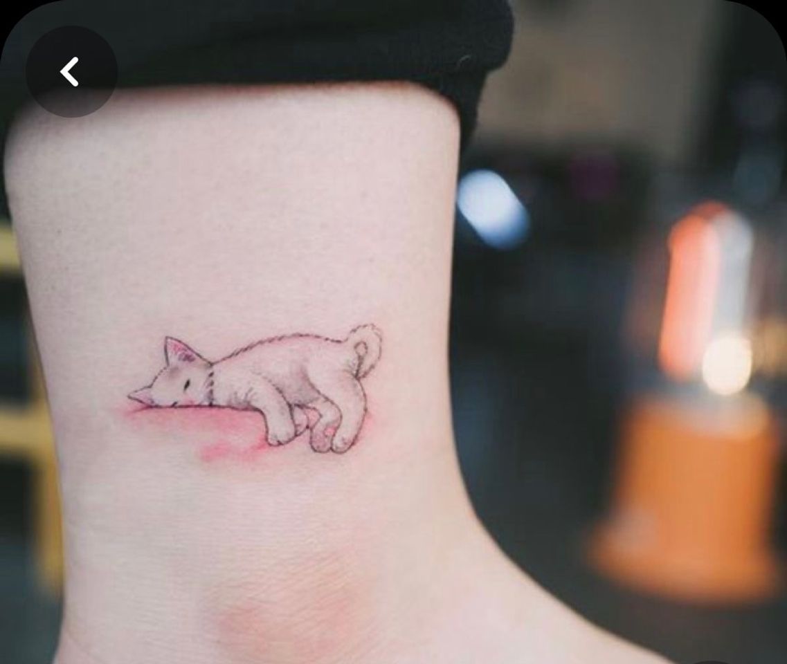 Moda Meu Deus estou apaixonada nesta Tatu 