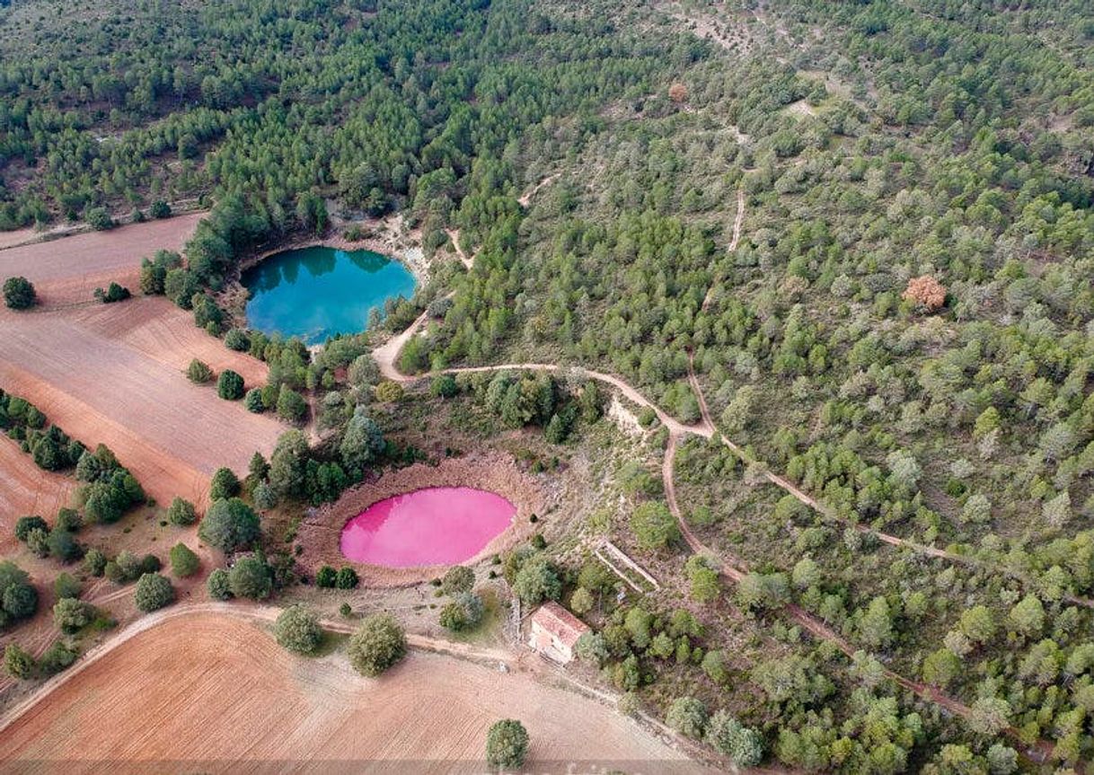 Restaurantes Cañada del Hoyo