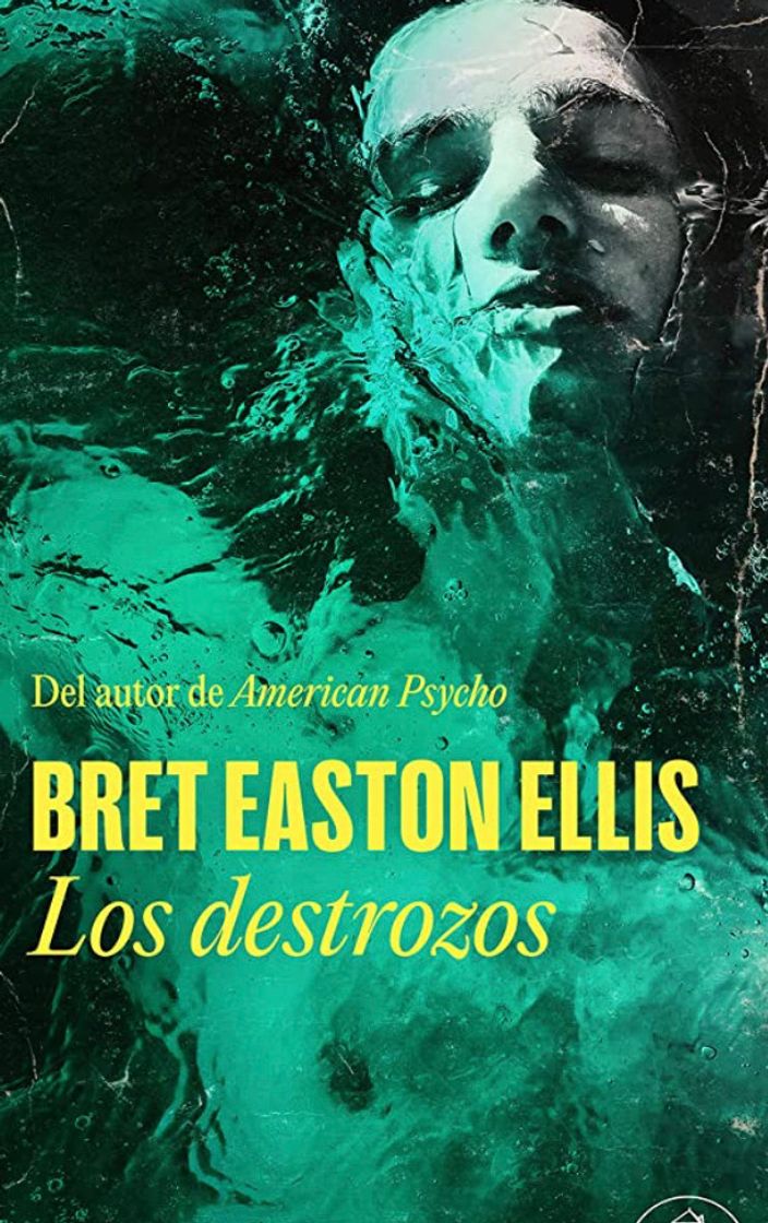 Libro Los destrozos 