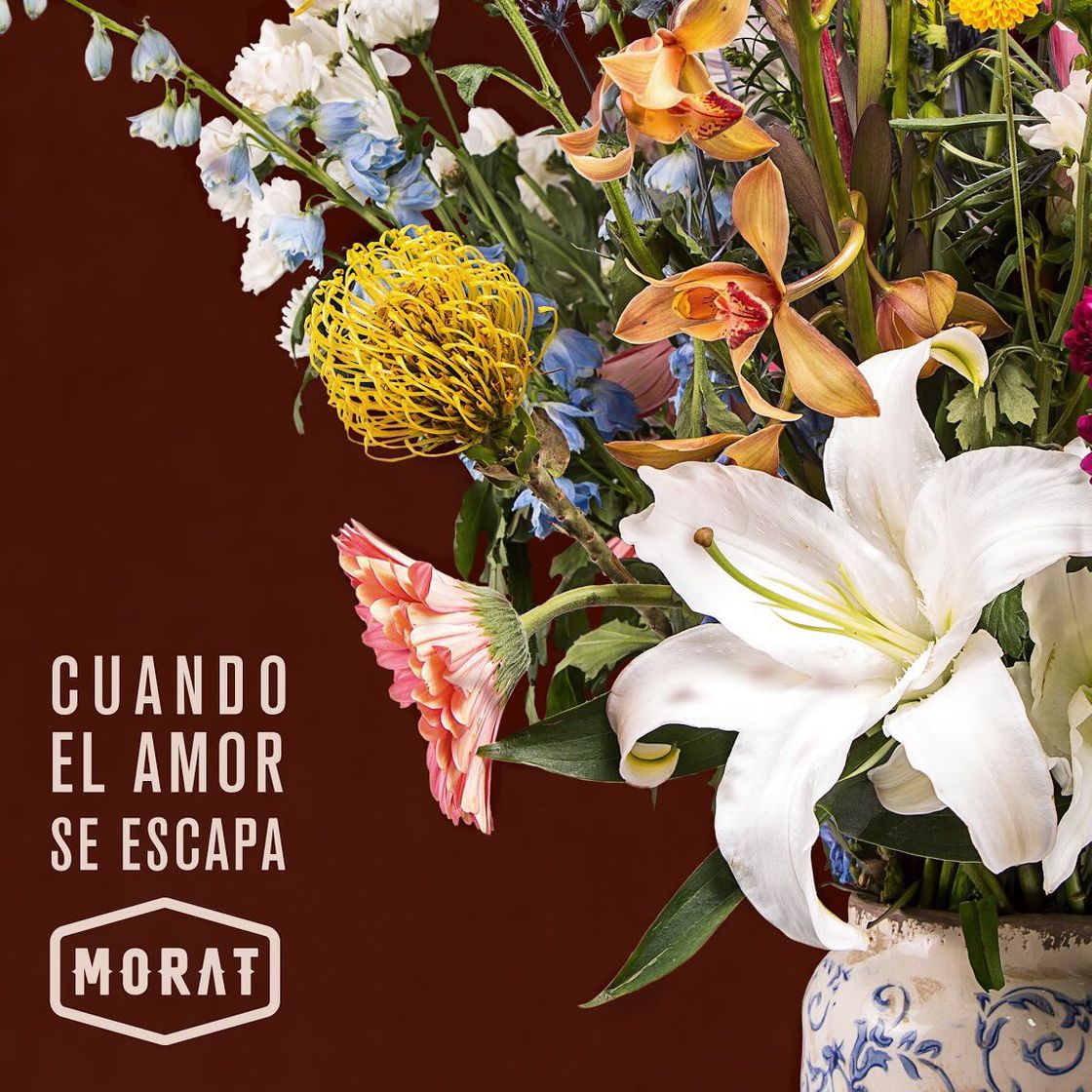 Music Cuando El Amor Se Escapa