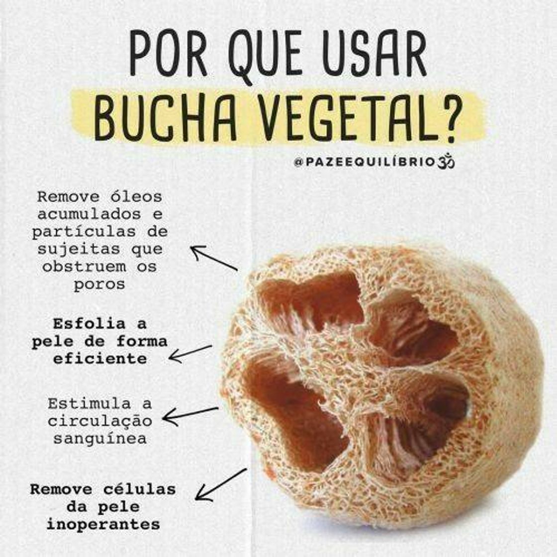 Fashion Por que usar bucha vegetal ?