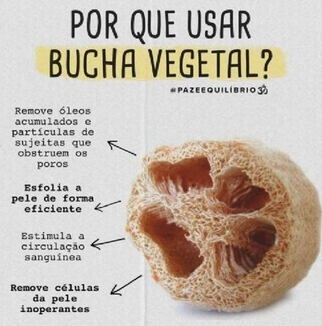 Moda Bucha vegetal