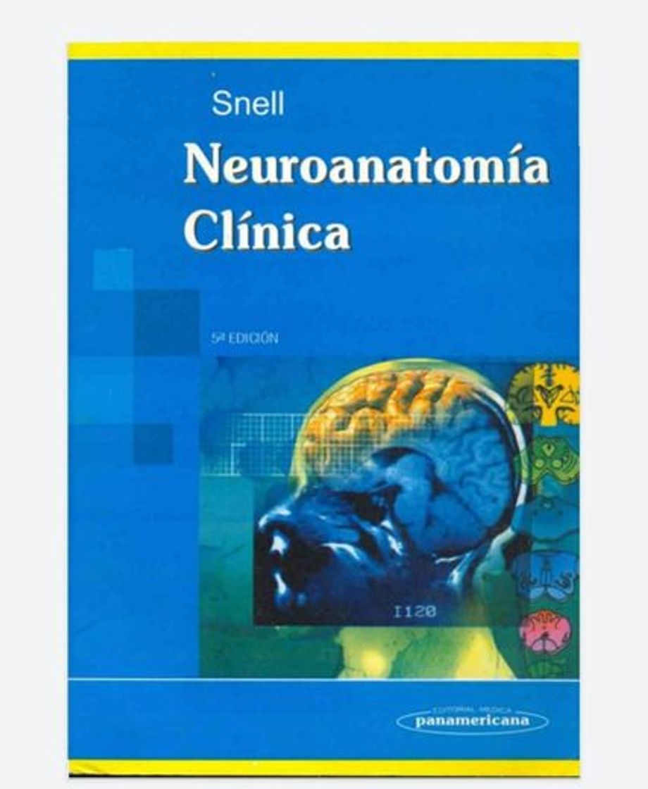 Books SNELL NEUROANATOMIA CLINICA 8º ED